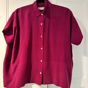 Everlane Pink Button Down Shirt Relaxed Fit